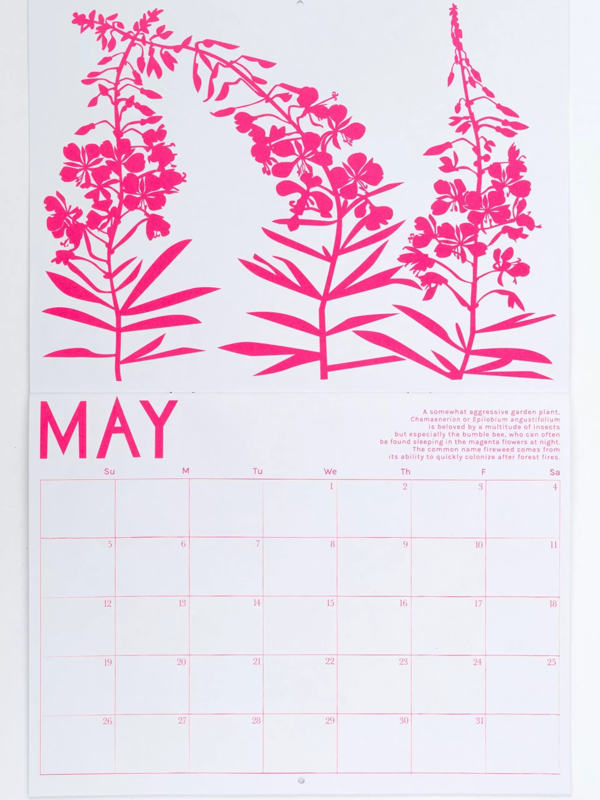 Fashion 2024 Calendar - Pollinator Plants! Calendar
