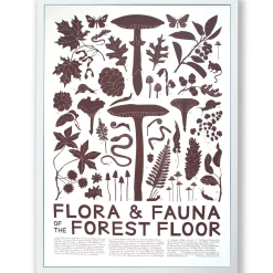 Clearance Flora & Fauna: Forest Floor Screeprint Science And Nature