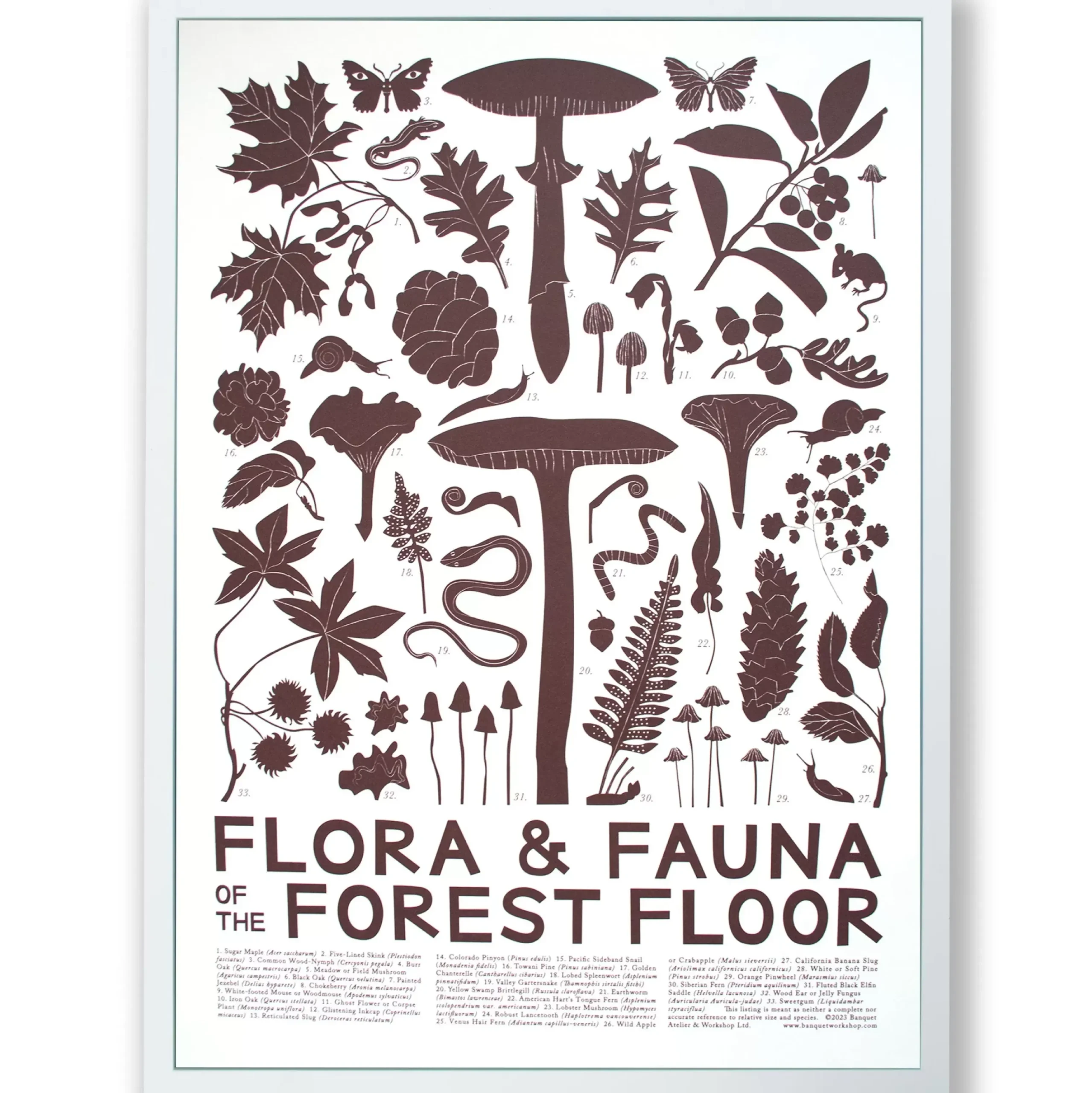 Clearance Flora & Fauna: Forest Floor Screeprint Science And Nature