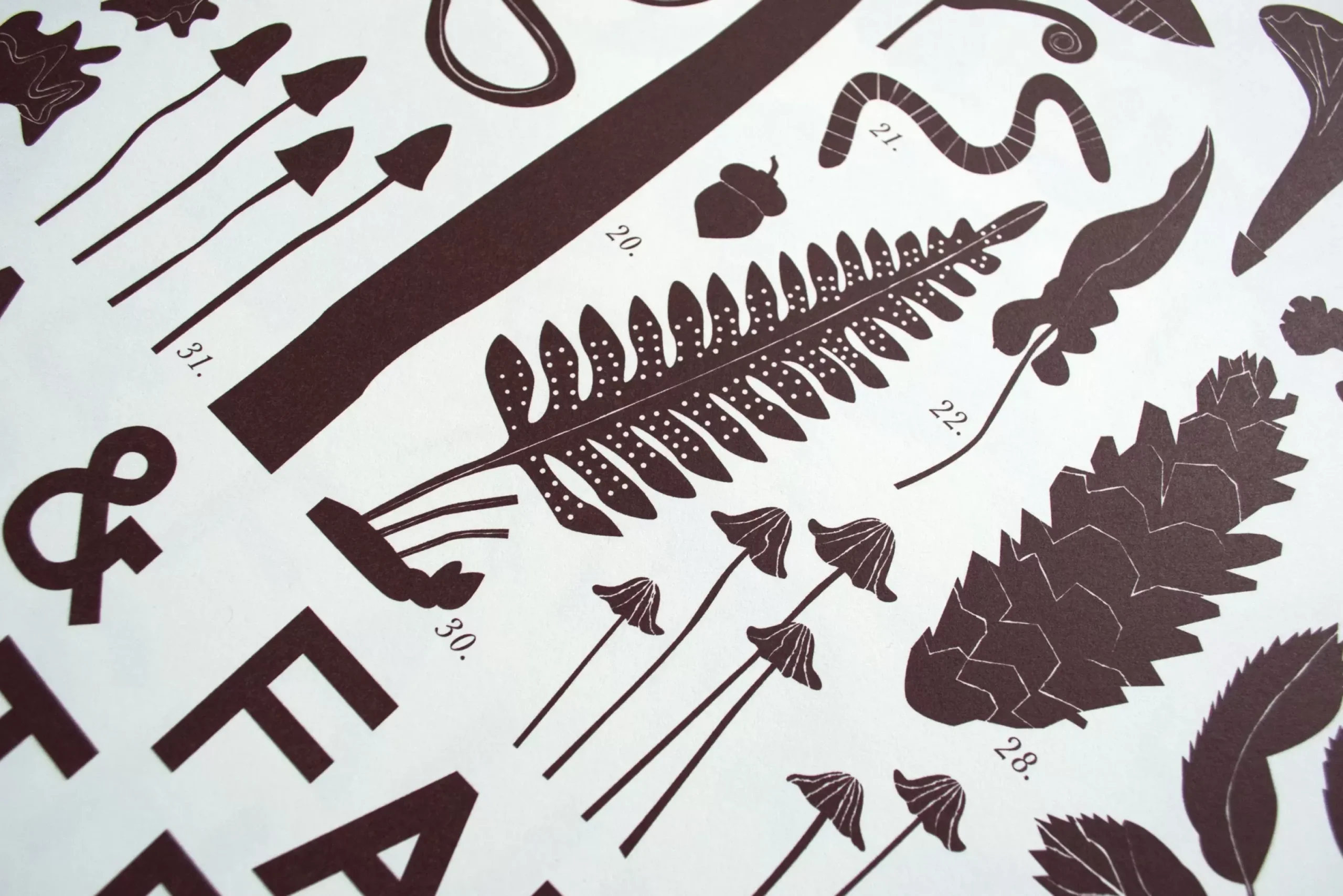 Clearance Flora & Fauna: Forest Floor Screeprint Science And Nature