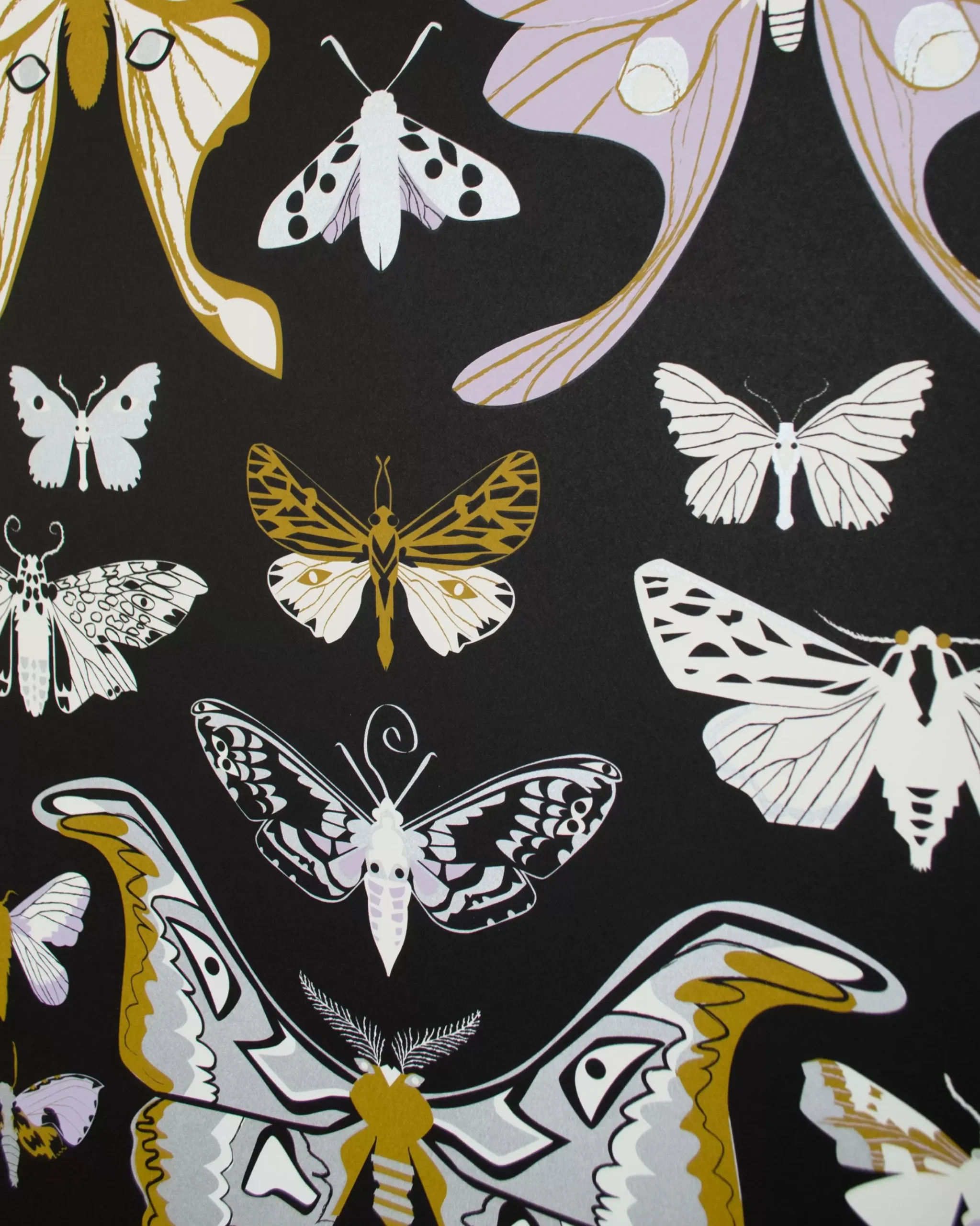 Cheap Moths Signed Poster Science And Nature